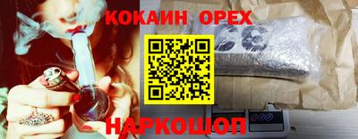 гашик Кинель