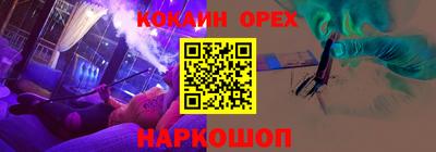 дмт Кингисепп