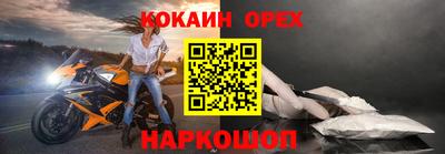 гашик Кинель