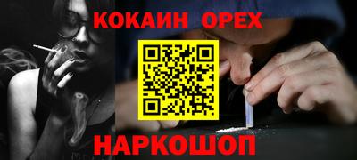 дмт Кингисепп