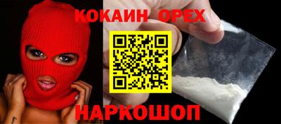 дмт Кингисепп