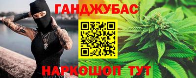 дмт Кингисепп