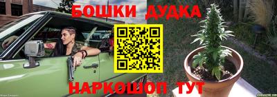 гашик Кинель