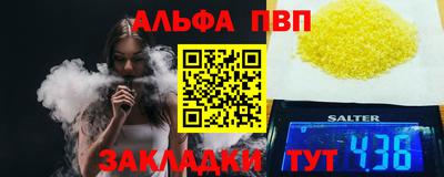 дмт Кингисепп